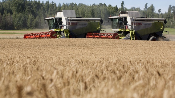 Fuel oils for agriculture, bunkering and industrial use Fuel oils for agriculture